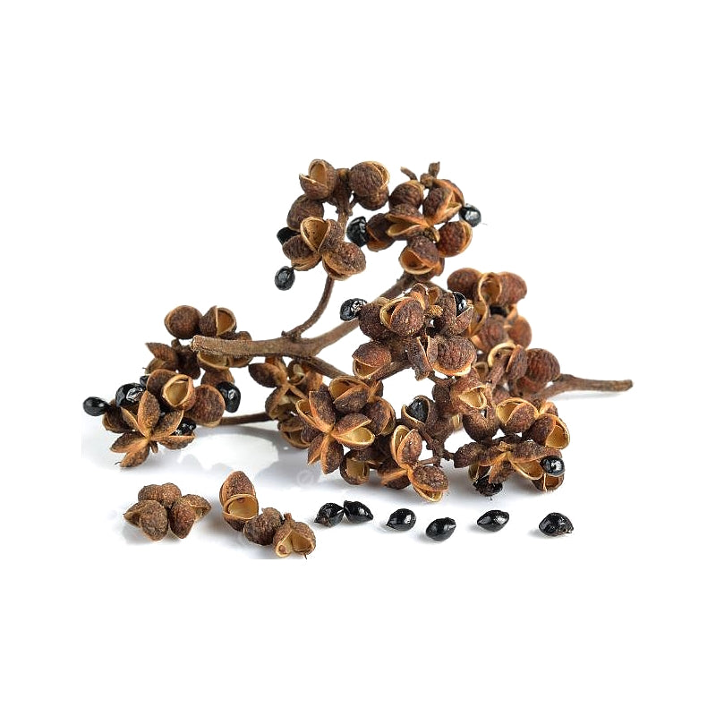 Dried Indian Prickly Ash Seed (Makhwaen) 20g