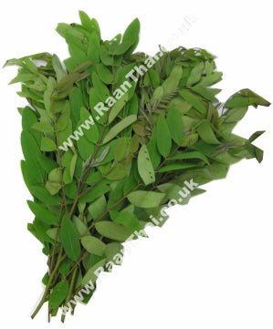 Cassia Leaf 200g - Bai Kee Lek