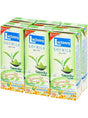 Sweetened Soy Milk - Green Tea Flavour - LACTASOY