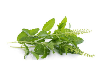 Holy Basil 100g - Bai Krapow