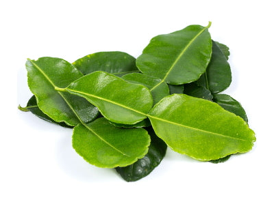 Kaffir Lime Leaves 40g