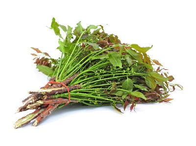 Margosa 200g