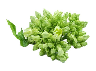 Cowslip Creeper Flower 100g