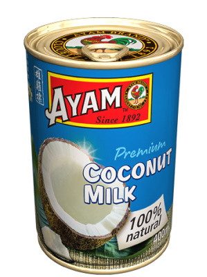 Coconut Milk 400ml - AYAM
