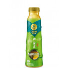 OISHI GOLD Japanese Green Tea Kabusecha (no sugar) – OISHI 