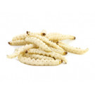 Bamboo Worms 250g 