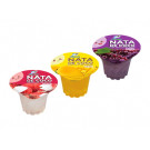 Assorted Jelly Drinks with Nata de Coco 3x180g - CAPTAIN DOLPHIN