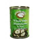 Whole Po-ku (Shitake) Mushrooms in Brine - GOLDEN SWAN