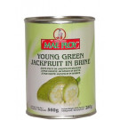 Young Green Jackfruit in Brine - MAE PLOY