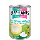 Young Coconut Meat in Syrup - TWIN ELEPHANTS 