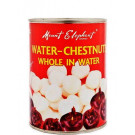 Whole Water Chestnuts in Water 567g – MOUNT ELEPHANT 