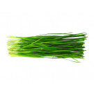 Chinese Chives 200g - !!!!Gui Chai!!!!